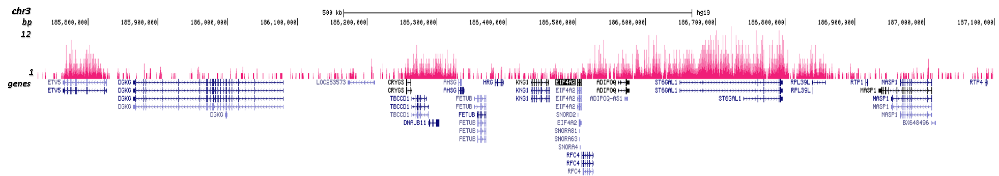 H3K36me2 Antibody for ChIP-seq assay